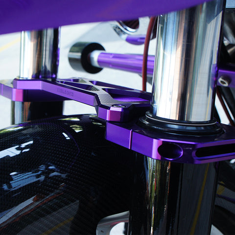 Touring Fork Brace