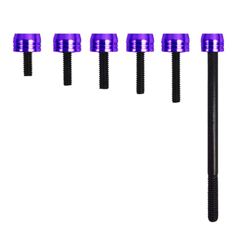 Multi-Color Engine Screws