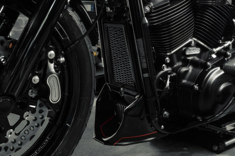 Softail M8 Oil Radiator Guard